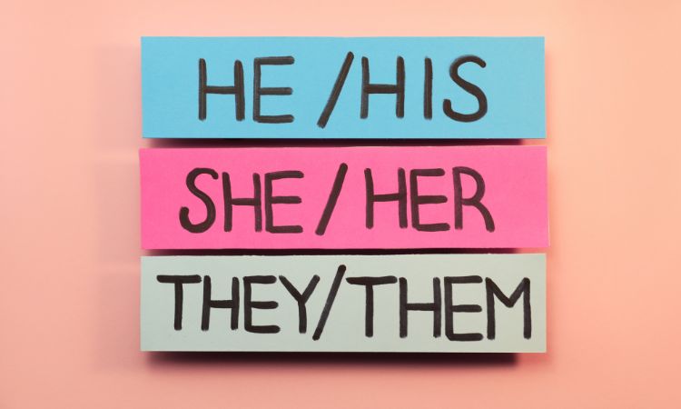 Understand What Is Pronoun In Hindi 10 Types Of Pronoun